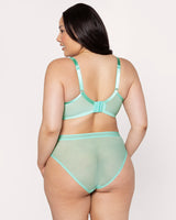 Sheer Mesh High Cut Brief Panty, Mint Chip Green - Curvy Couture - Mesh
