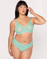 Sheer Mesh High Cut Brief Panty, Mint Chip Green - Curvy Couture - Mesh