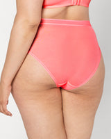 Sheer Mesh High Cut Brief Panty - Sunset Glow