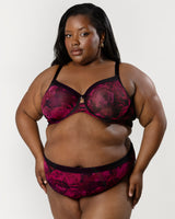Sheer Mesh High Cut Brief Panty, Dramatic Rose Red - Curvy Couture - Mesh