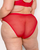 Sheer Mesh High Cut Brief, Diva Red Red - Curvy Couture - Mesh