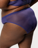 Sheer Mesh High Cut Brief, Vintage Blue Blue - Curvy Couture - Mesh