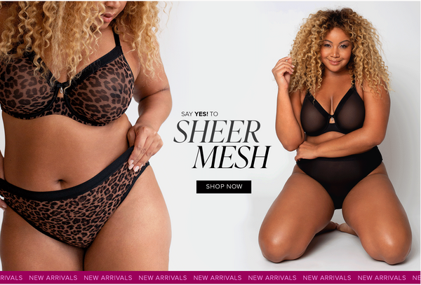 Behind the Sheer Mesh Bra collection