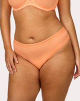 Sheer Mesh High Cut Brief Panty, Orange Tang Orange - Curvy Couture - Mesh