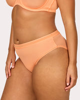 Sheer Mesh High Cut Brief Panty, Orange Tang Orange - Curvy Couture - Mesh
