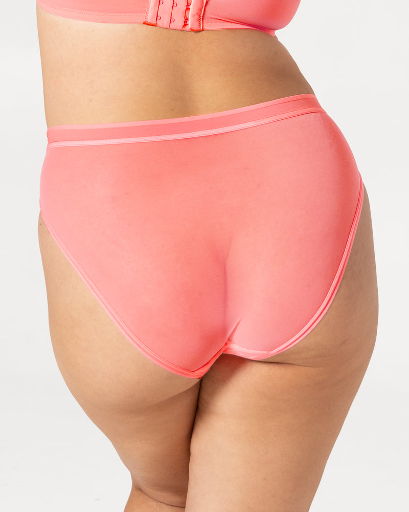 Sheer Mesh High Cut Brief Panty - Sunset Glow