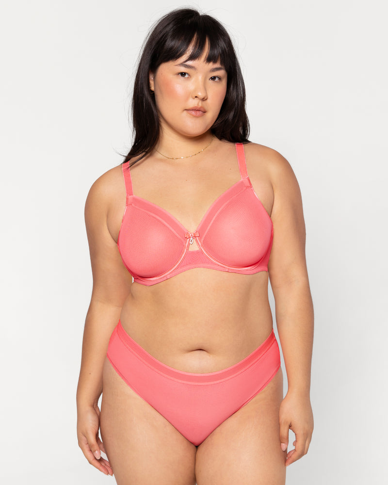 Sheer Mesh High Cut Brief Panty - Sunset Glow