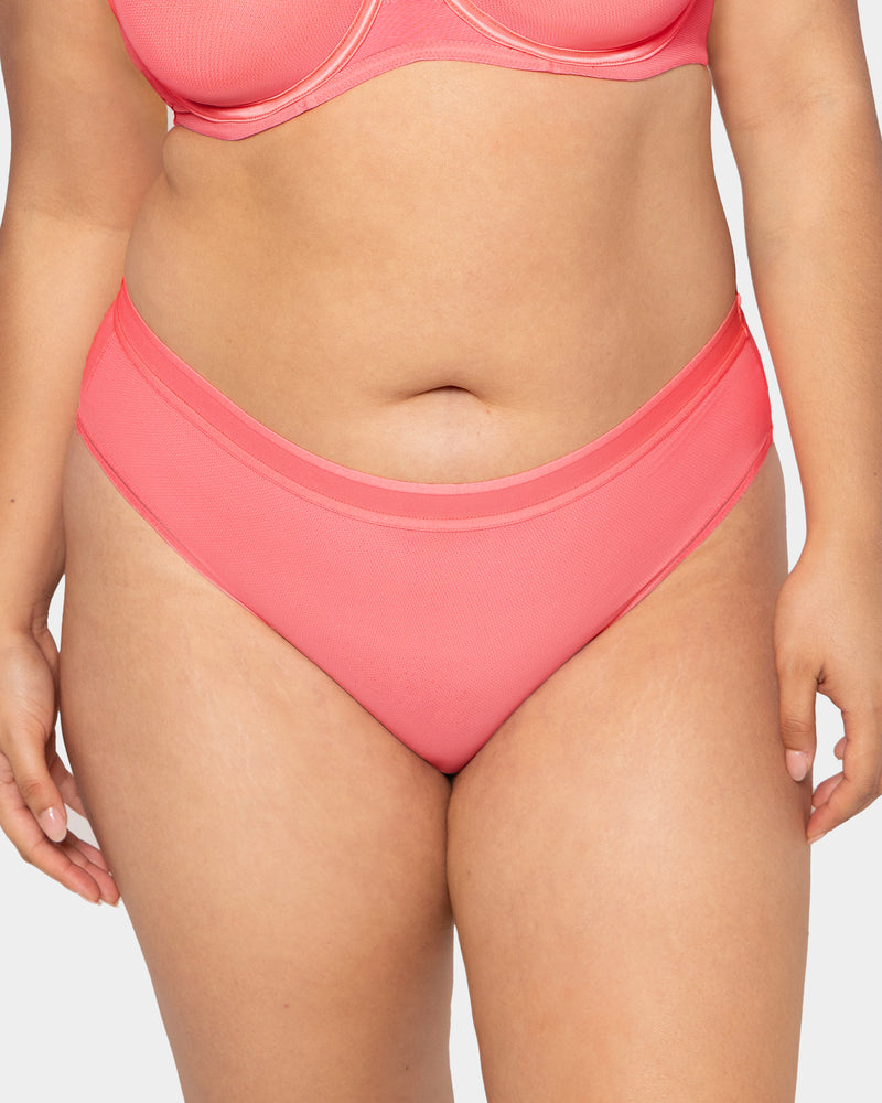 Sheer Mesh High Cut Brief Panty - Sunset Glow