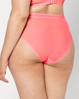 Sheer Mesh High Cut Brief Panty - Sunset Glow