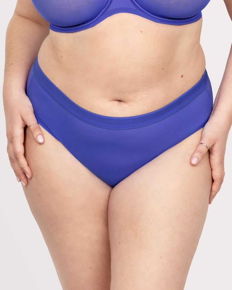 Sheer Mesh High Cut Brief Panty, Radiant Plum Blue - Curvy Couture - Mesh