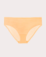 Sheer Mesh High Cut Brief Panty, Orange Tang Orange - Curvy Couture - Mesh