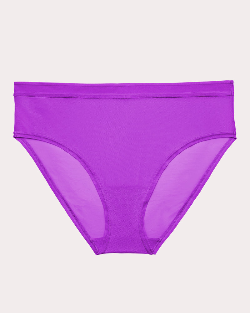 Sheer Mesh High Cut Brief Panty, Purple Passion Purple - Curvy Couture - Mesh