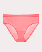 Sheer Mesh High Cut Brief Panty - Sunset Glow