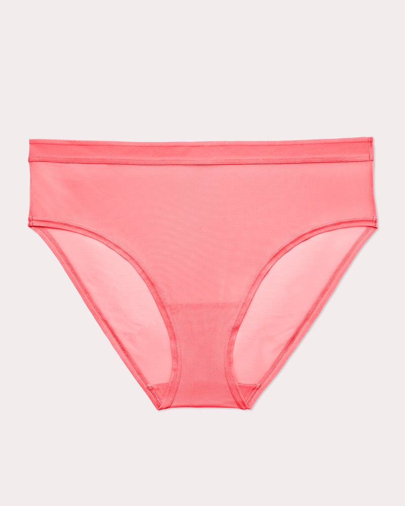 Sheer Mesh High Cut Brief Panty - Sunset Glow
