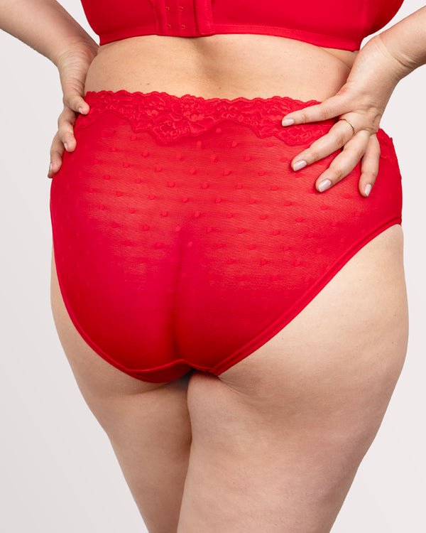 Sheer Whisper High Cut Brief Panty, Diva Red Red - Curvy Couture - Mesh