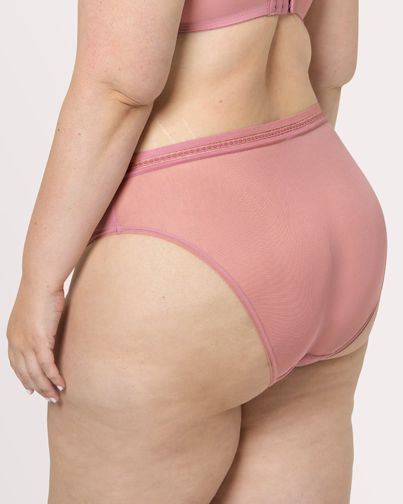 Sheer Mesh High Cut Brief Panty, Wisteria Red - Curvy Couture - Mesh
