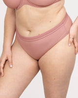 Sheer Mesh High Cut Brief Panty, Wisteria Red - Curvy Couture - Mesh