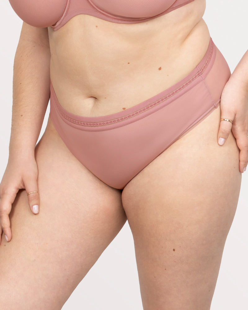 Sheer Mesh High Cut Brief Panty, Wisteria Red - Curvy Couture - Mesh