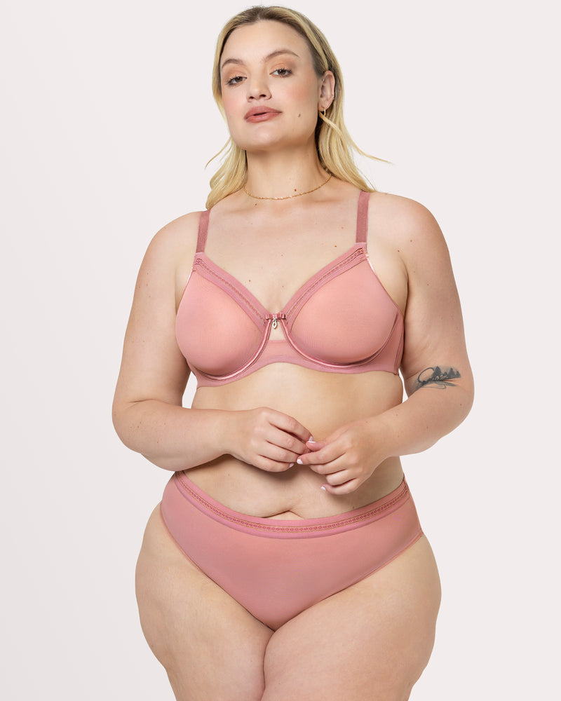 Sheer Mesh High Cut Brief Panty, Wisteria Red - Curvy Couture - Mesh
