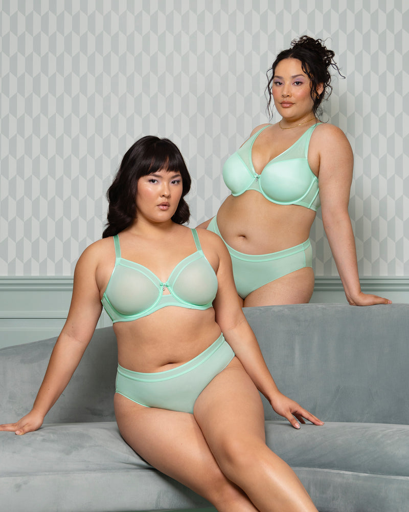 Sheer Mesh High Cut Brief Panty, Mint Chip Green - Curvy Couture - Mesh