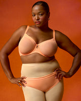 Sheer Mesh High Cut Brief Panty, Orange Tang Orange - Curvy Couture - Mesh