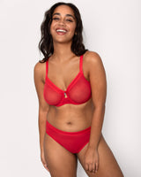 Sheer Mesh High Cut Brief, Diva Red Red - Curvy Couture - Mesh