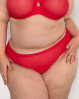 Sheer Mesh High Cut Brief, Diva Red Red - Curvy Couture - Mesh