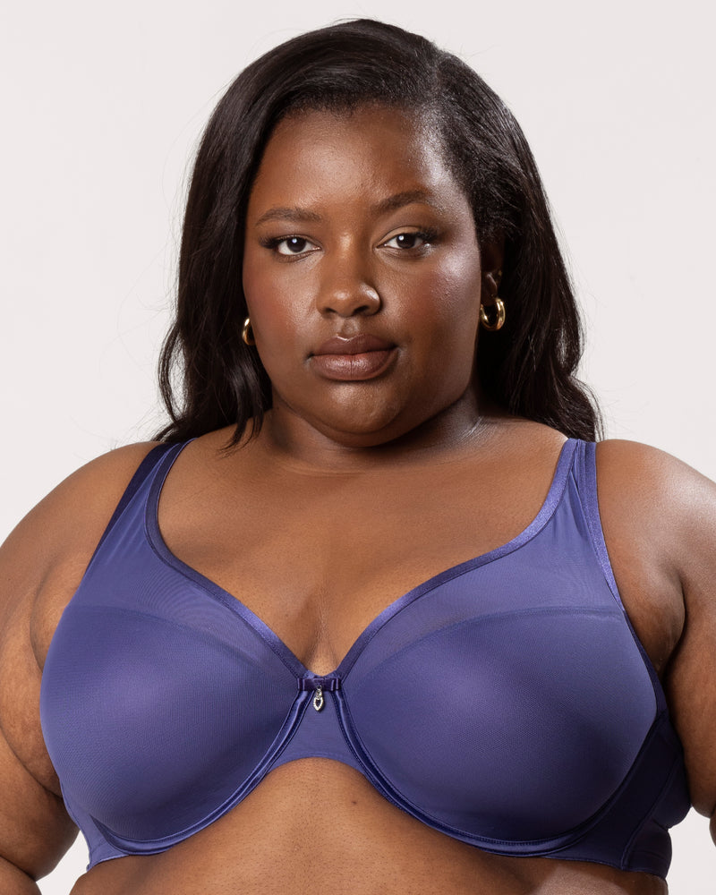Sheer Mesh Plunge T-Shirt Bra, Vintage Blue Blue - Curvy Couture - Mesh