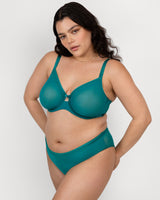 Sheer Mesh High Cut Brief Panty, Fanfare Green - Curvy Couture - Mesh