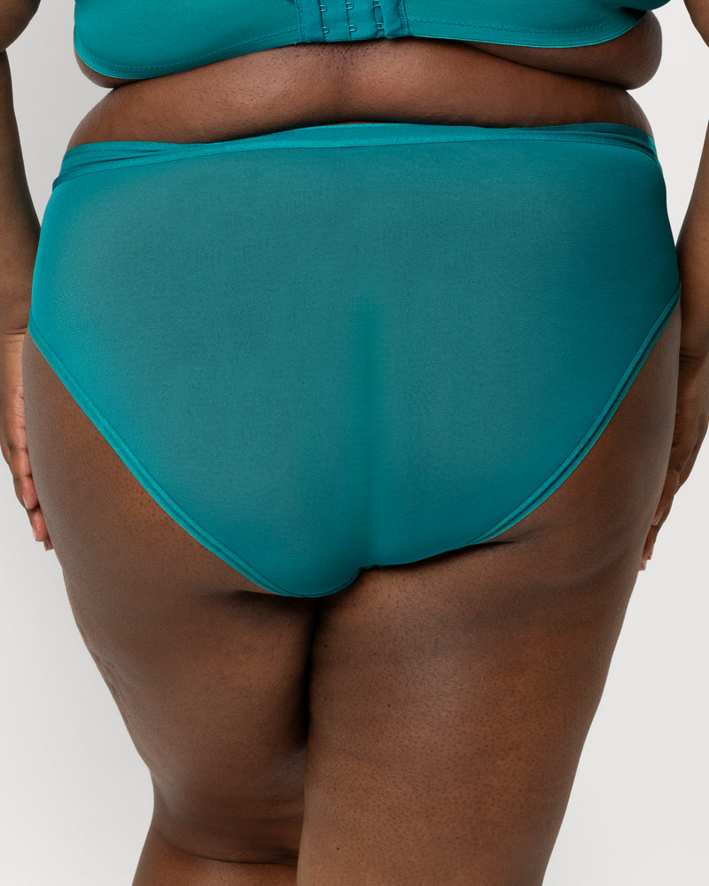 Sheer Mesh High Cut Brief Panty, Fanfare Green - Curvy Couture - Mesh