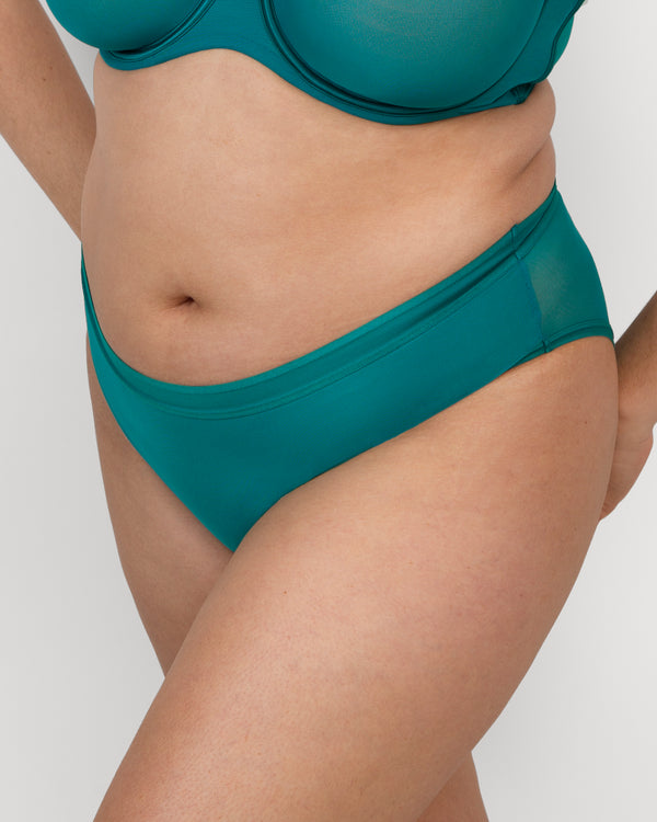 Sheer Mesh High Cut Brief Panty, Fanfare Green - Curvy Couture - Mesh