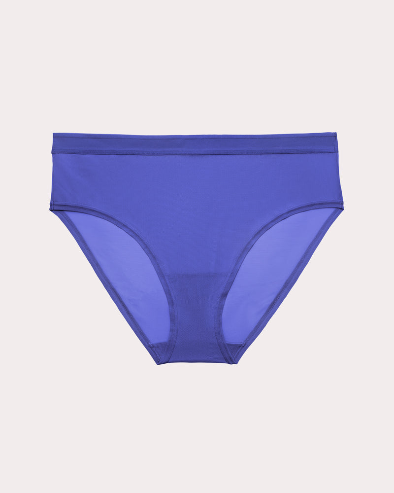 Sheer Mesh High Cut Brief Panty, Radiant Plum Blue - Curvy Couture - Mesh