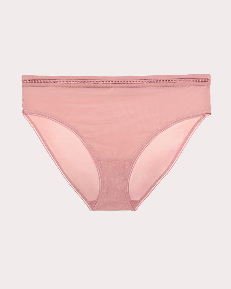 Sheer Mesh High Cut Brief Panty, Wisteria Red - Curvy Couture - Mesh