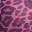 Sheer Mesh High Cut Brief - Pink Leopard